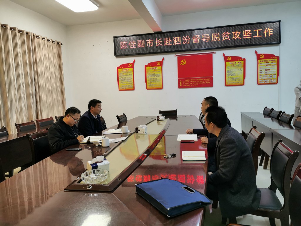 20191129陈佳市长01