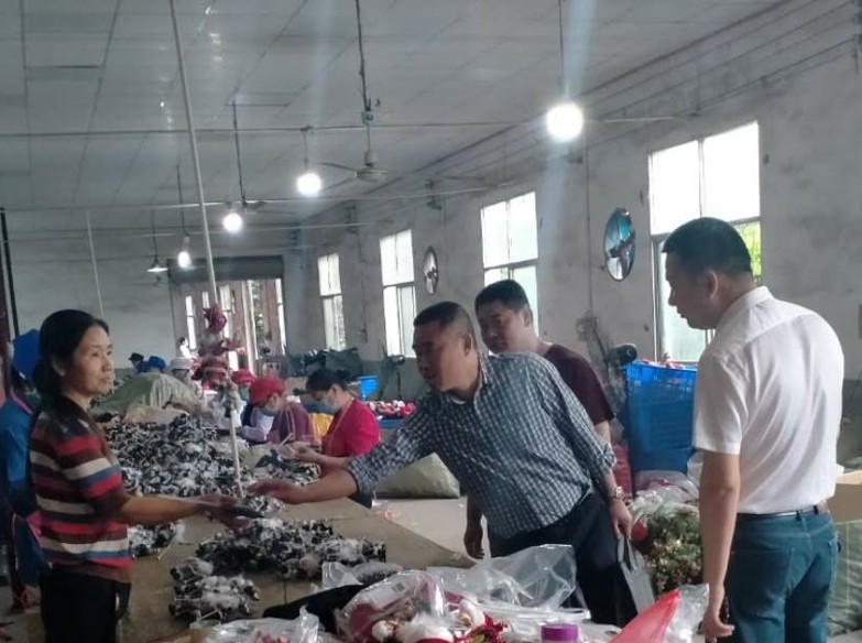 8e5e074098fa45a4358018ae1b4c57e