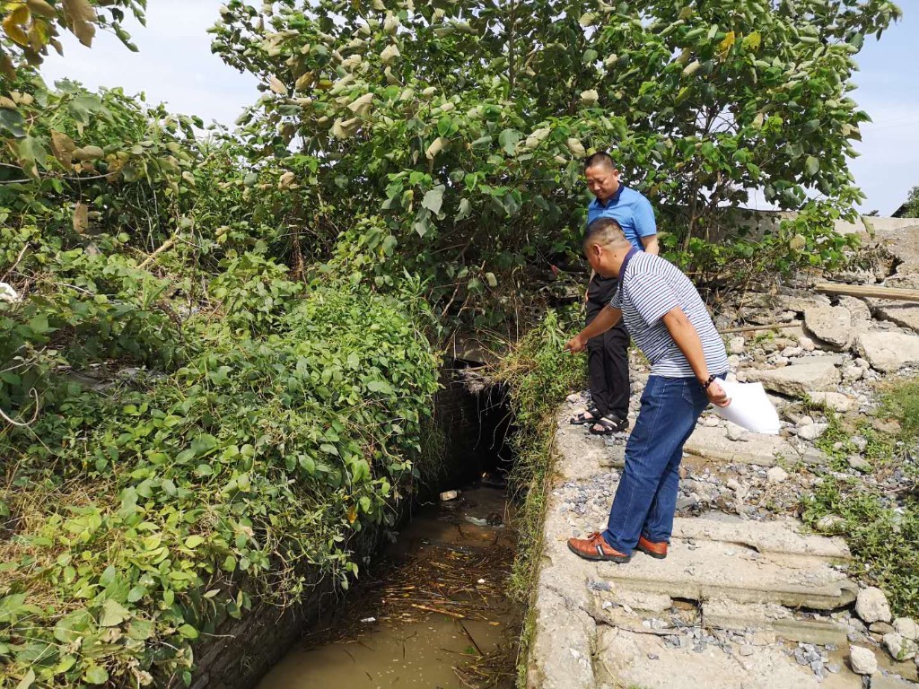 许局彭局排污口视察