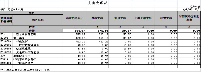 审计局3