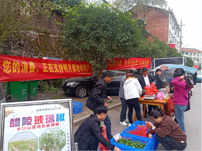 e409ca6f74a2a7b660481cb9d865f81