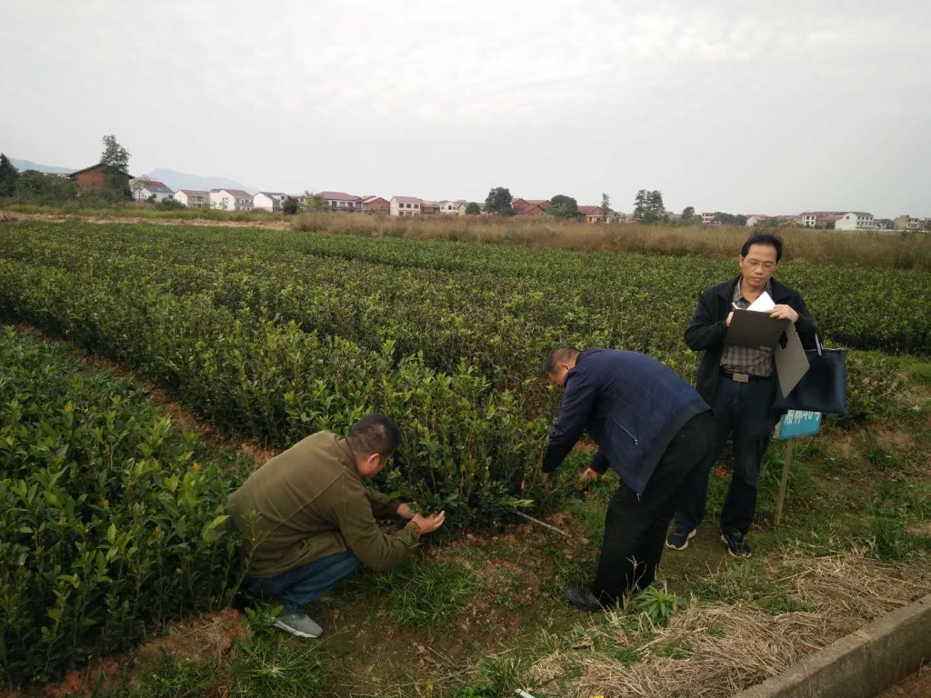 caa9f03bc2c239d9d32edae6d7708c1