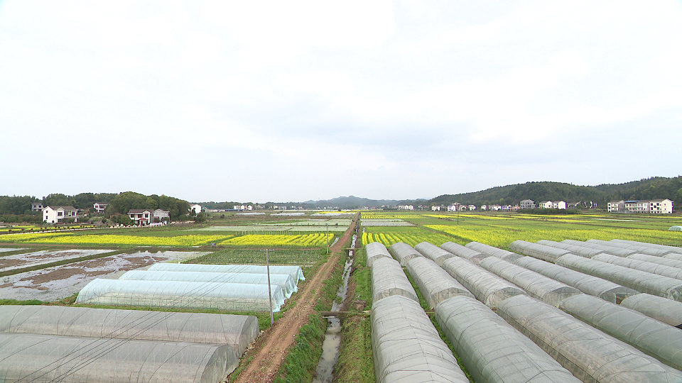 微信图片_20210315145826