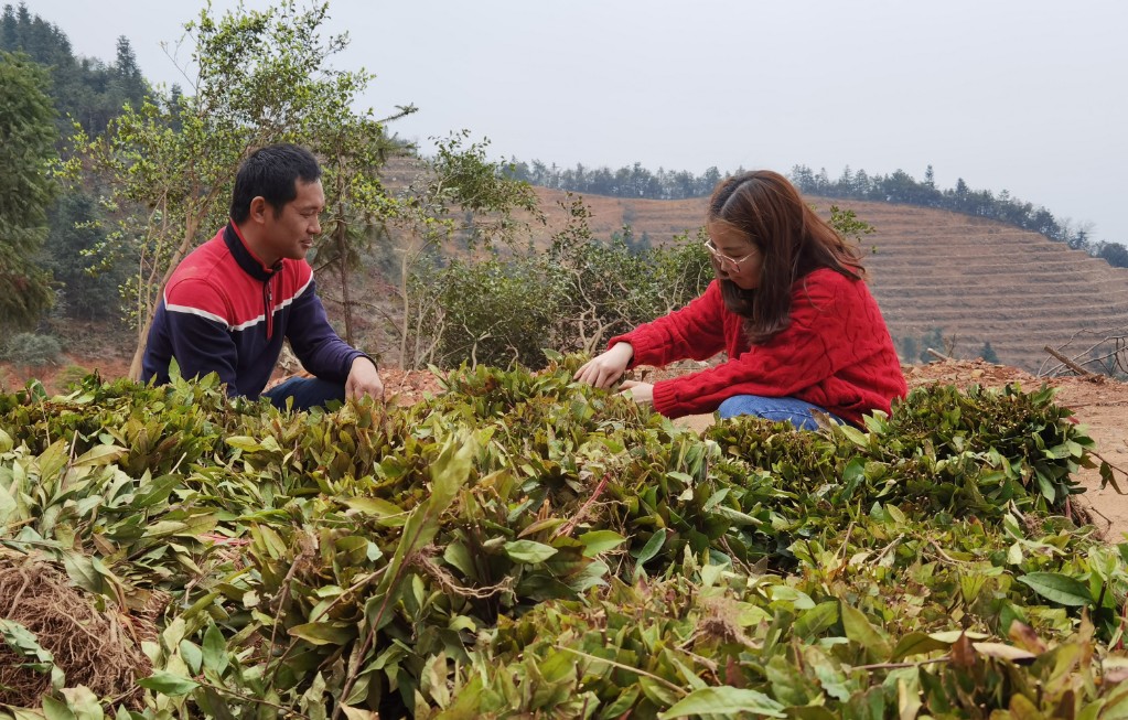 微信图片_20210315151532_看图王