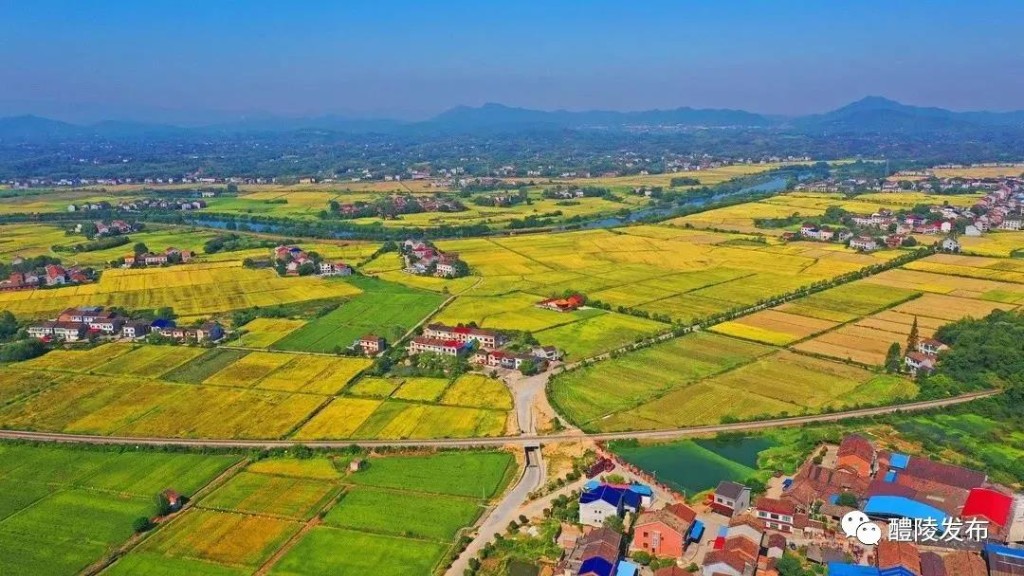 微信图片_20211224120200