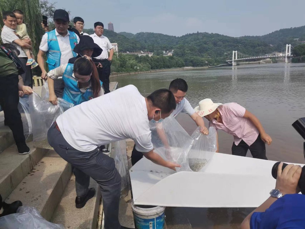 78a4d673f6df6447a7281476fbe3976