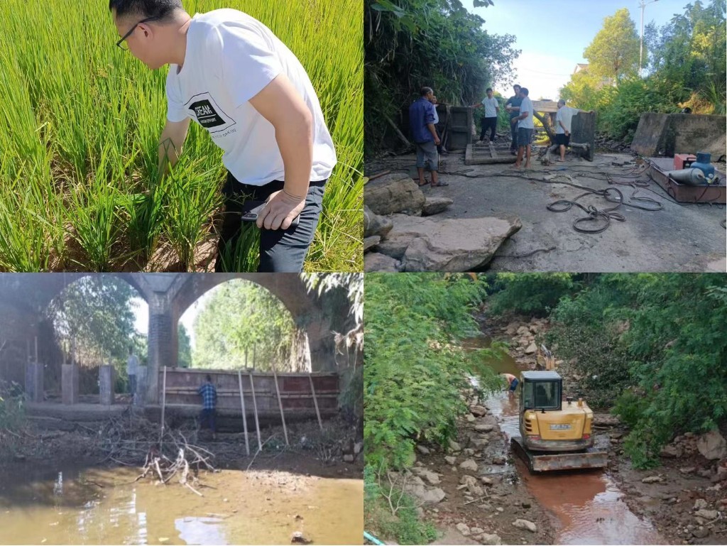 202208190810242436ewjpg