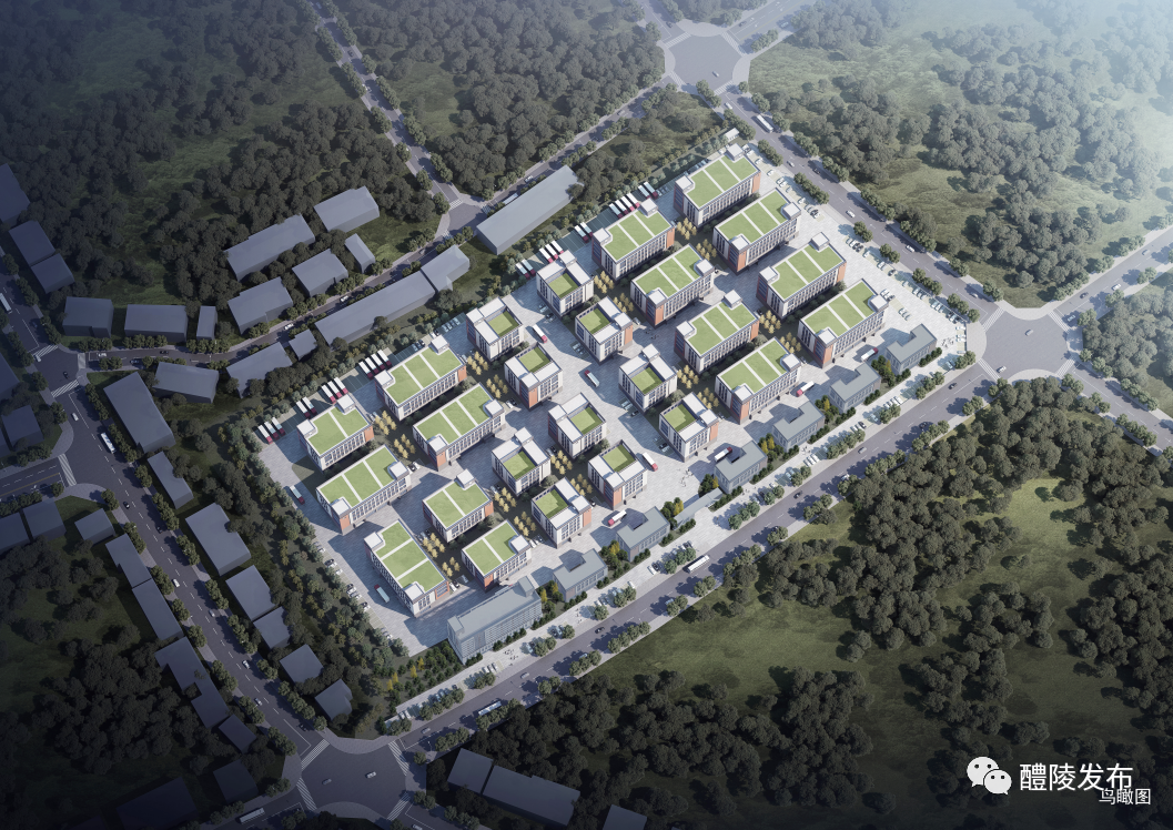 20230309161844339bhairx