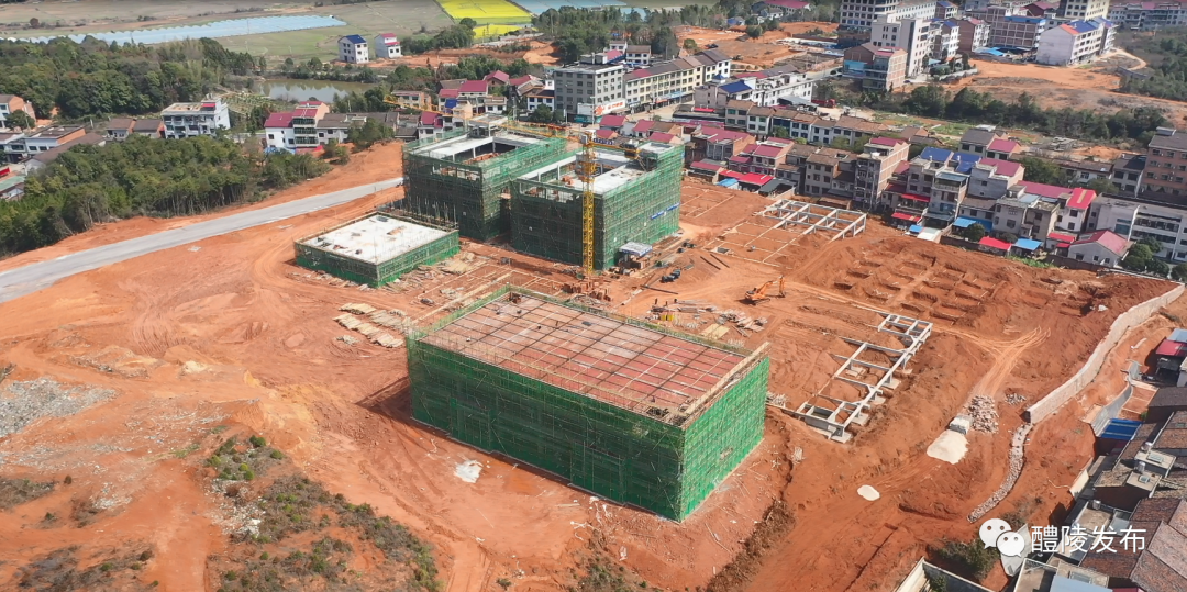 微信图片_20230310101927