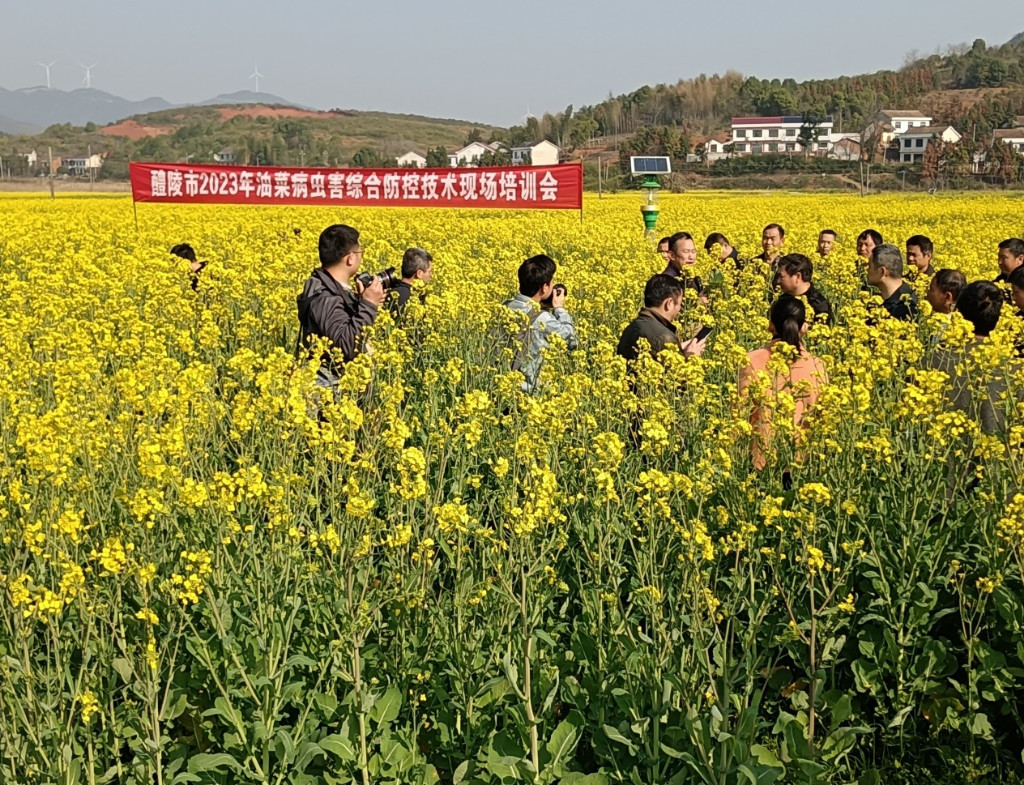 20240103145447488phrui7