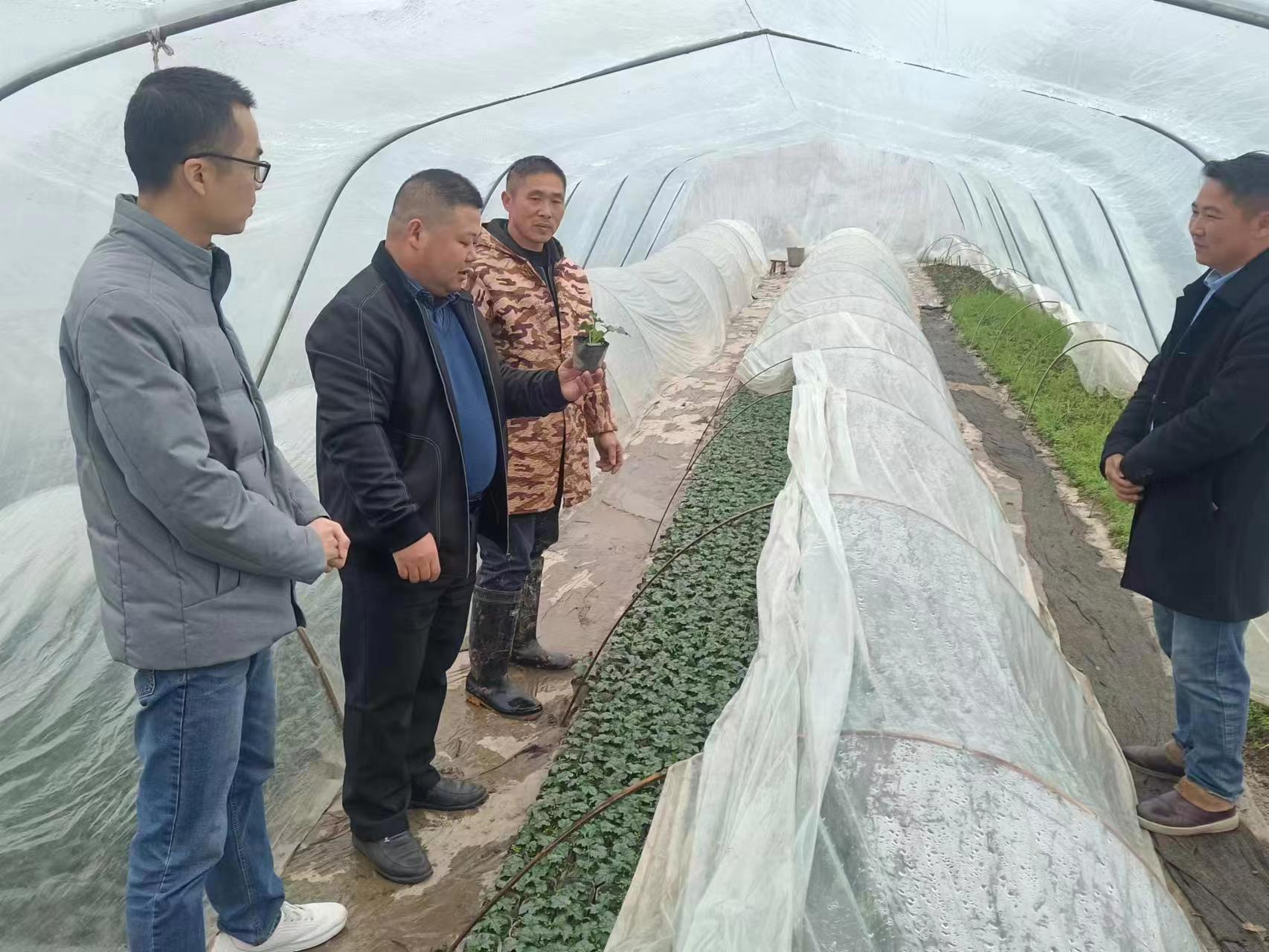 20240306163641531fxqjxg