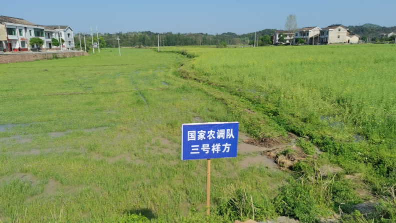 20240322115142232sc6vv5