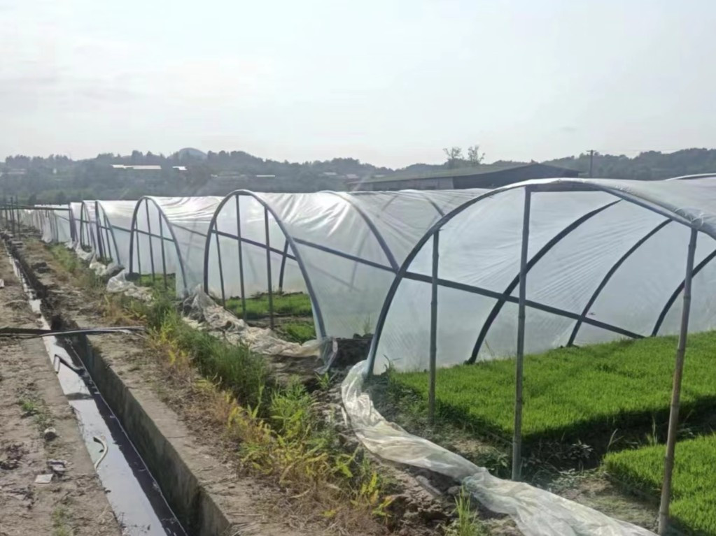 20240426114213584zrp47w