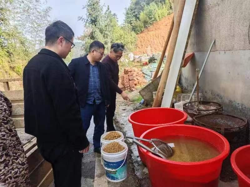 20240426114212527ixfrty