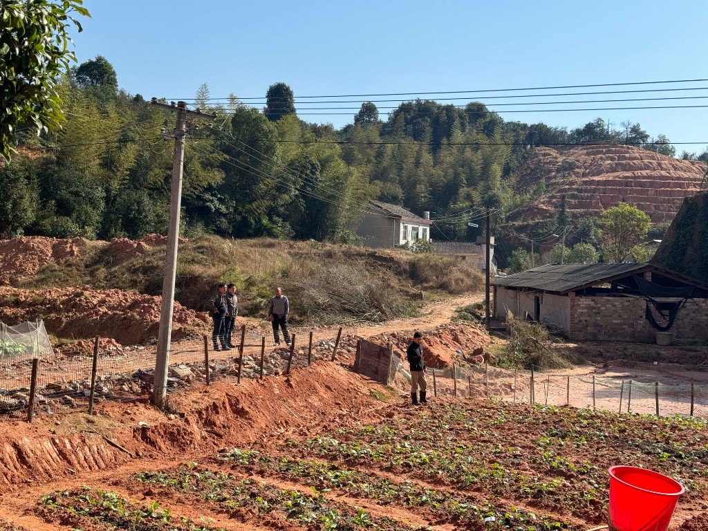 微信图片_20241204094903