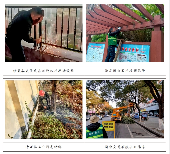 24.12.27筑牢园林绿化02