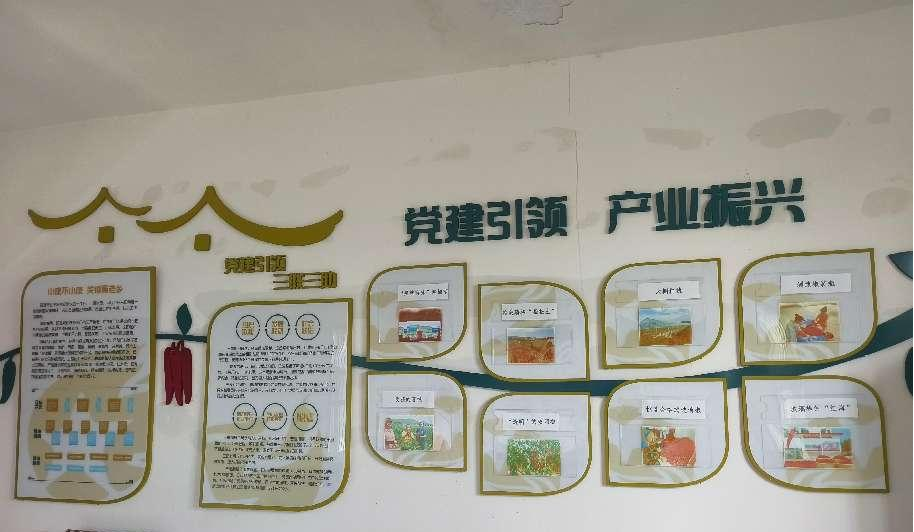 202501081050116963hknhb