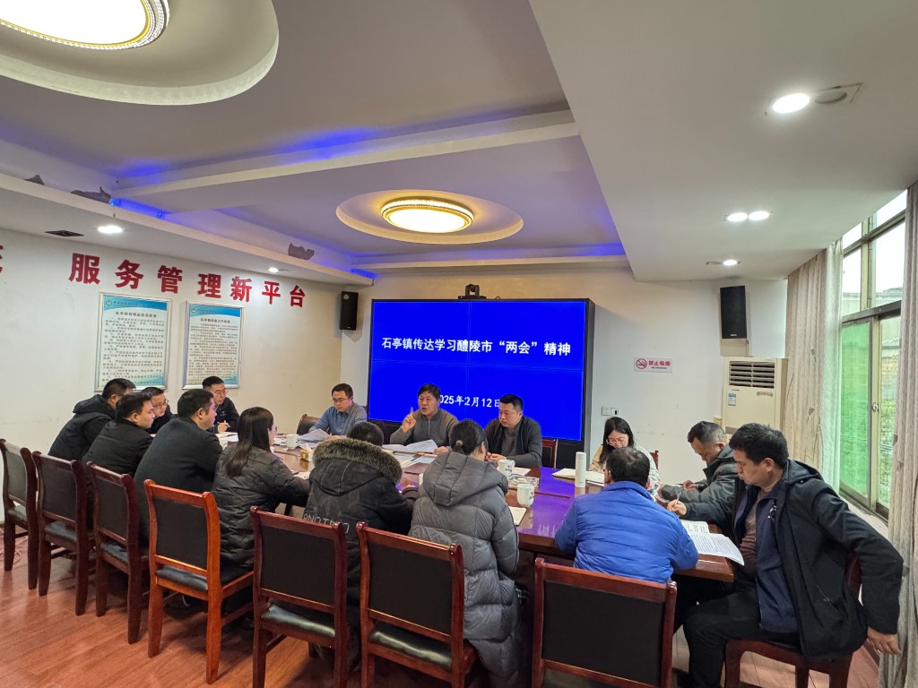 传达市两会精神