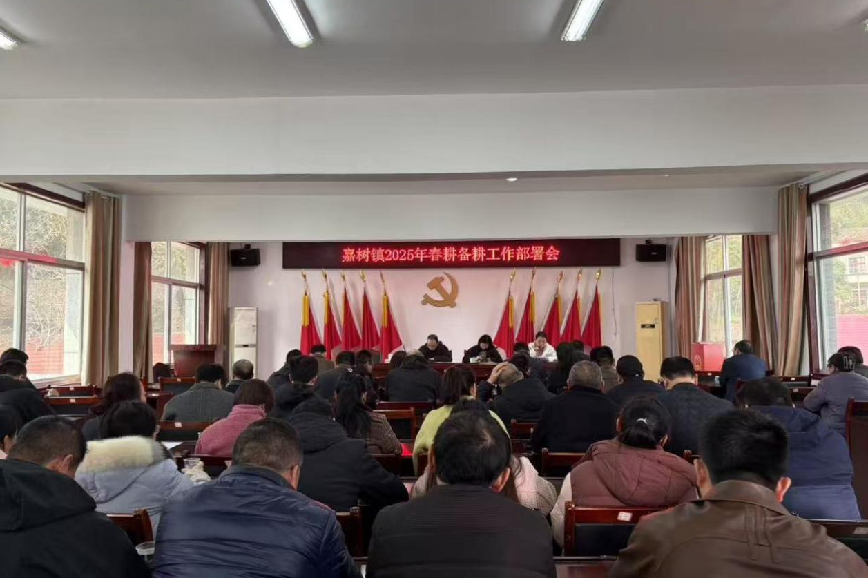 20250304141538960sz1lcn