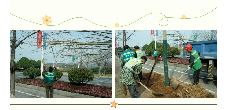 25.3.7.02.不负春季好时光 补植补栽添新绿