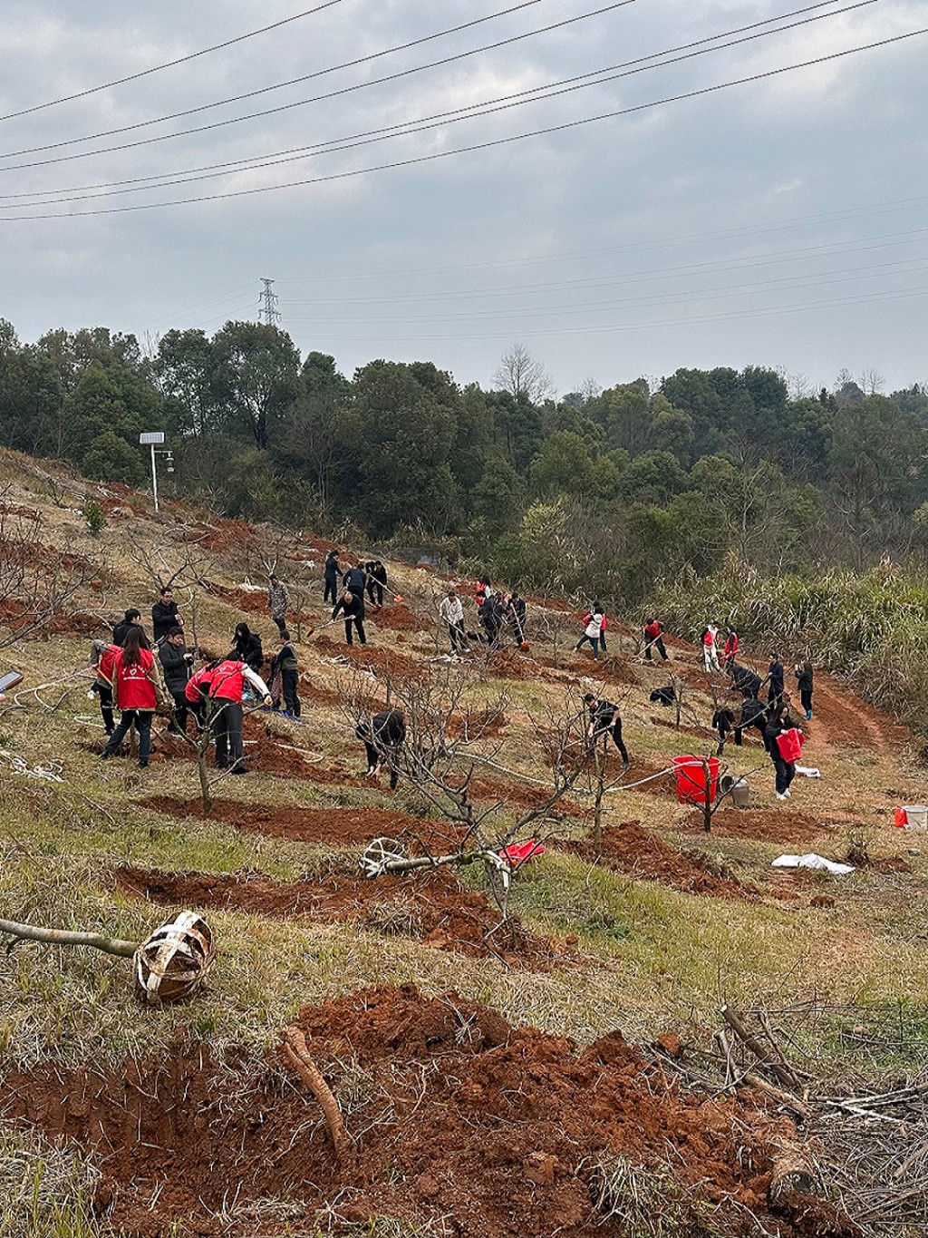 3dd1d676163414786f17af189b993f9