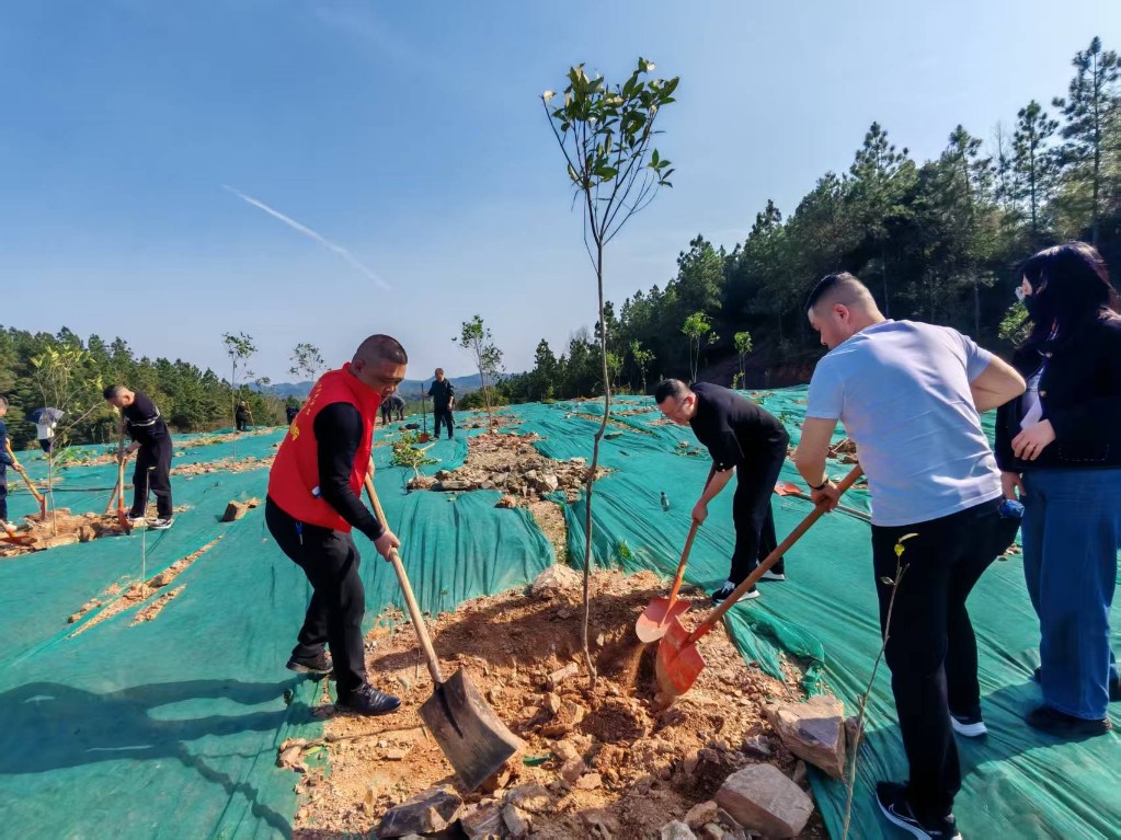 微信图片_20250319165431