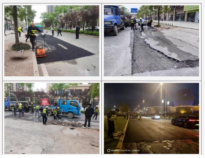 25.4.21.01.春风催新绿 养护筑通途