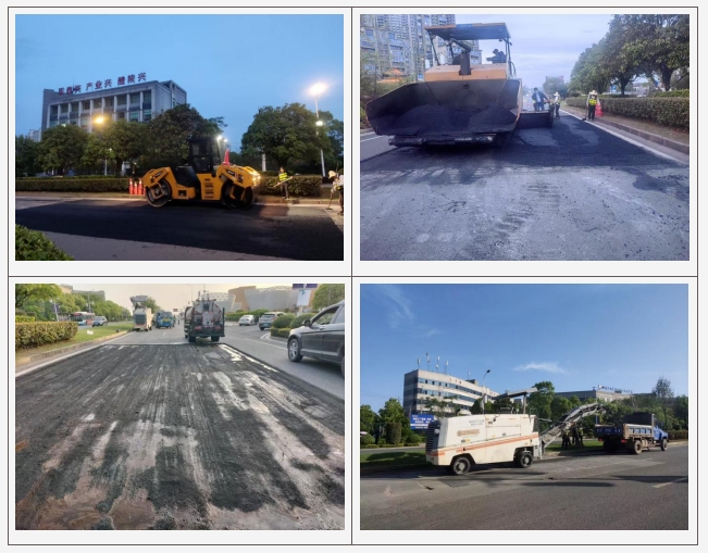 25.4.21.02.春风催新绿 养护筑通途